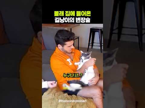 몰래 집으로 들어와 살고 있던 길냥이ㅋㅋ thumbnail