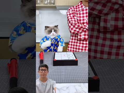 Mèo chơi caro với mami #trending #trendingshorts #trendingvideo #shorts #shortsviral #viralshorts thumbnail