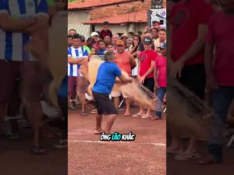 Lão ngư dân thách đấu quăng lưới rồi thất bại #shorts thumbnail