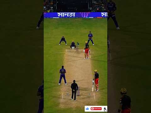 Kingfisher on the stumps watching calmly the players #cricket #ipl #viralcricket thumbnail