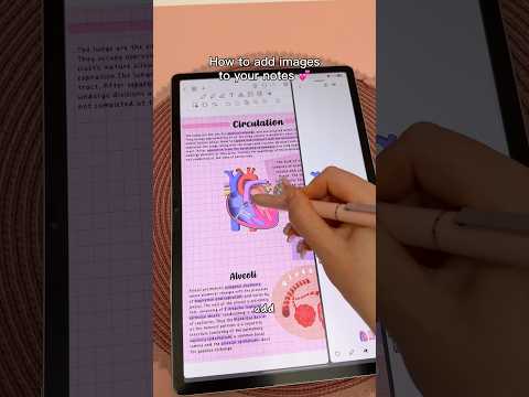 How to add images to your notes 💕 | digital note taking tips thumbnail