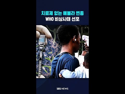 "확산 위험 높다" WHO 비상사태..치료제 없는 '분디부교' 공포 #shorts thumbnail