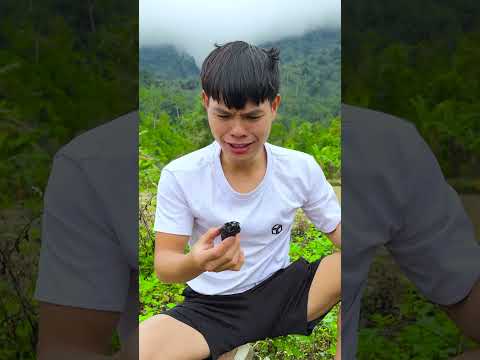 1 đồng ăn gì? p391 #shorts #tiktok #foryou #fyp #xuhuong #langlieu thumbnail