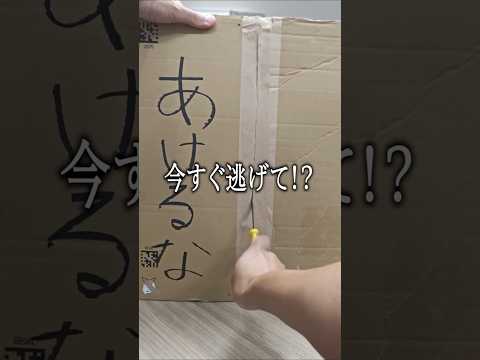 【警告】タイピング音が良すぎる1万8千円の「ダメ人間製造機」がヤバい thumbnail