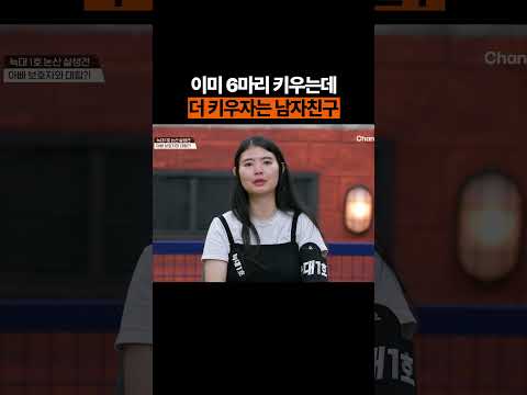 말문 잃은 강형욱 #개늑시 #개와늑대의시간 thumbnail
