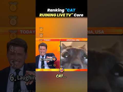 Ranking TOP CATS RUINING LIVE TV Core Moments!! 🐱📺 thumbnail