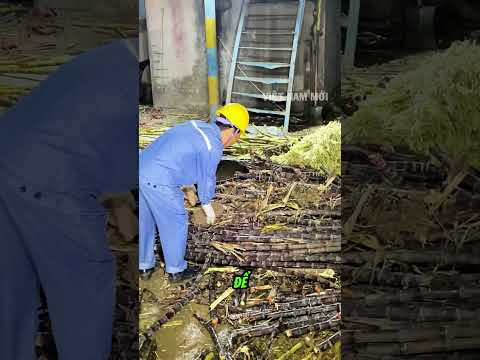 Chiêu trò giấu gạch trong mía thumbnail