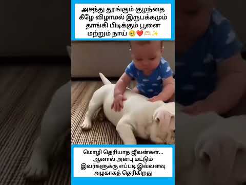 கண்ணு பட்டுற போகுதய்யா?????✨ #shorts thumbnail