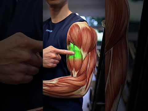 2 Best Exercises for Complete Biceps Growth thumbnail