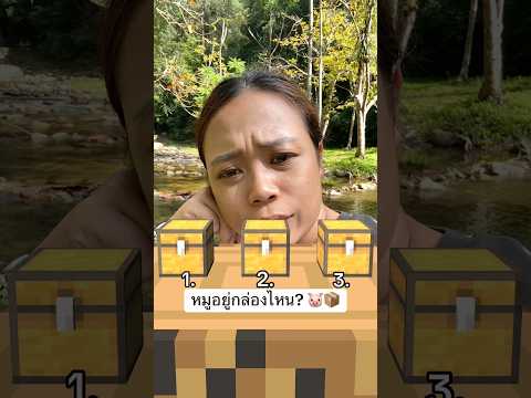 1,2,3 หมูอยู่กล่องไหน? 🐷📦#ลองดู #funny #ฝากติดตาม #หมูหมีจัดให้ #เอ็นจอยคับผม thumbnail