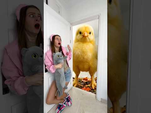 OMG Can Player escape from the Chick? thumbnail