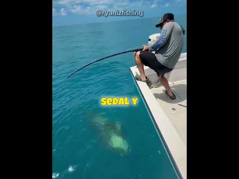 Nunca imaginó tener tanta suerte ? thumbnail