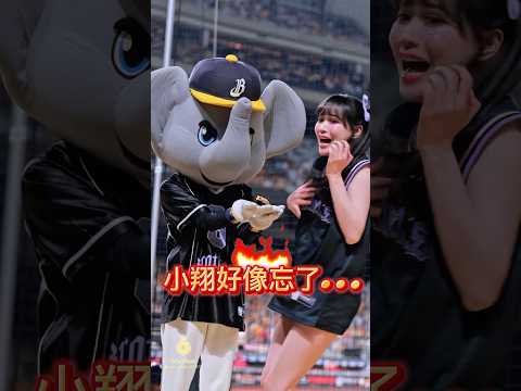 小翔欺負荷律習慣成自然，忘了很重要的一件事🤣#cheerleader #李丹妃   #fancam  #邊荷律   #변하율 #吐司邊#推薦 #shorts thumbnail