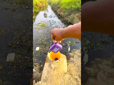 JBL Go 4 pool test thumbnail