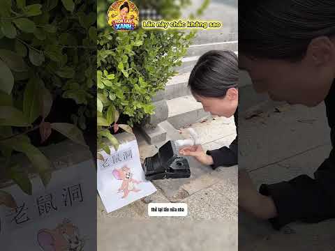 Lần này chắc không sao thumbnail
