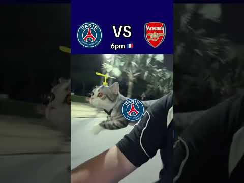 The admin is off to Budapest!🏆 #football #ligue1 #foot #psg #ligue1mcdonalds #footballshorts #soccer thumbnail