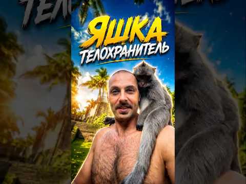 Кто бы мог подумать, что дикий обезьянин встанет на мою защиту? thumbnail
