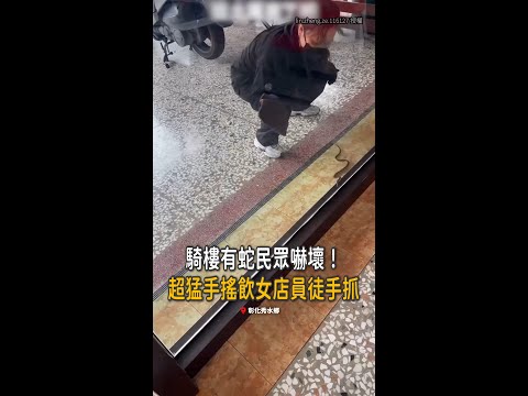 【超猛女店員】騎樓有蛇民眾嚇壞！她神勇徒手抓蛇 thumbnail