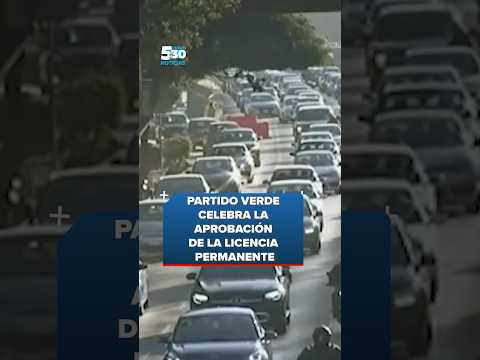Partido Verde celebra la aprobación de la licencia permanente | Noticias 5:30 | Shorts thumbnail