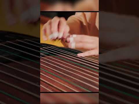 YOASOBI - 夜に駆ける (Racing Into The Night) Guzheng Cover (Shorts Ver.) | Moyun Official thumbnail