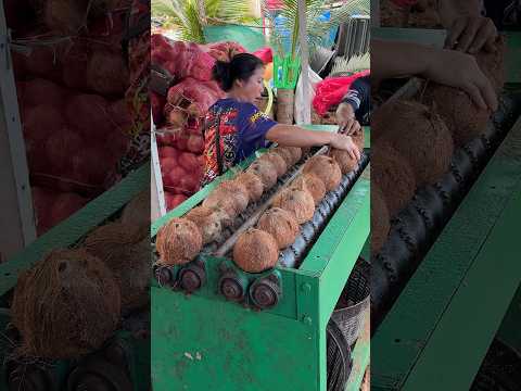 Unique Coconut Peeling Machine - Fruit Cutting Skills thumbnail