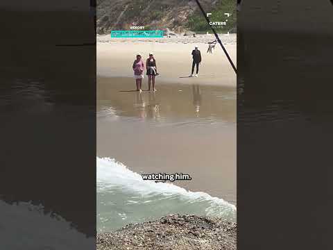 Osprey Shows Up Fisherman ? #fishing thumbnail