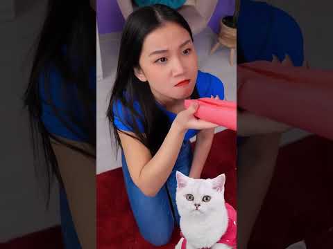 مغامرات كوميدية مع القطط المدهشة! 😂🐱 #قصص #مضحك #فشل thumbnail