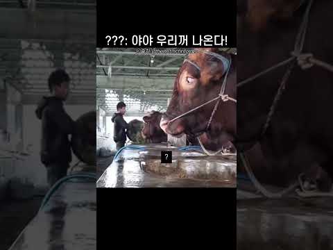 식당에서 너와 나 thumbnail