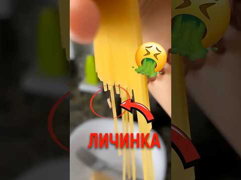 🍝 Почему внутри спагетти находят личинок! thumbnail