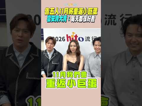 告五人11月將重返小巨蛋 雲安誇犬青：每天都很好看 #shorts thumbnail