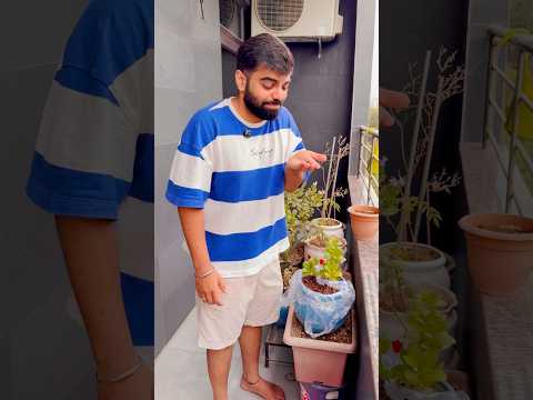 Gaurav mitti kha raha hai #gauravaroravlogs #youtubeshorts # shorts thumbnail
