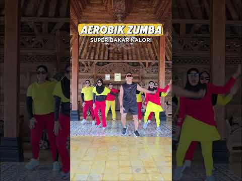 ZUMBA AEROBIK DIGIDI DIGIDI HE thumbnail