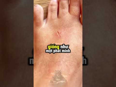 Tại Sao Ai Cũng Nghĩ Đây Là Phát Minh Của Nhật Bản? ? thumbnail