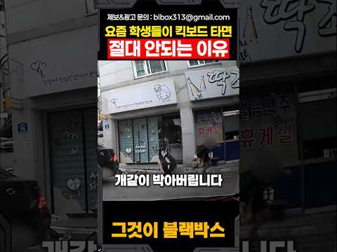 킥보드가 진짜 위험한 이유 thumbnail