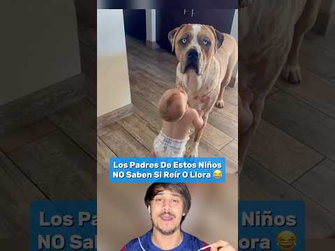 Los Padres De Estos Niños No Saben Si Reír O Llorar 😂 Parte 60 #shorts #humor thumbnail