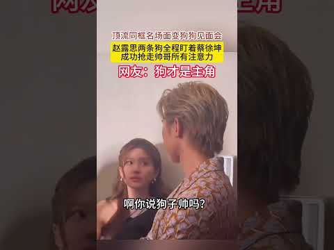 顶流同框名场面变狗狗见面会#赵露思 两条狗全程盯着#蔡徐坤 成功抢走帅哥所有注意力网友：狗才是主角 thumbnail