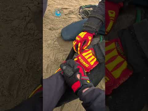 We Nearly Walked Away From This Rescue #shorts thumbnail