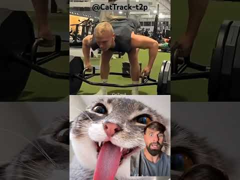 Deporte divertido CatTrack-t2p thumbnail