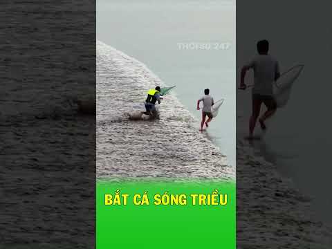 Người đàn ông chạy trước sóng để bắt cá thumbnail