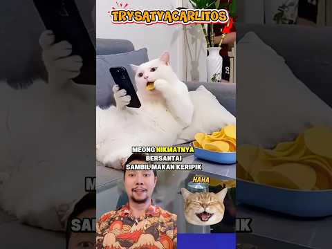 Boss kucing kepedesan!!? #comedy #lucu #cat #funny thumbnail