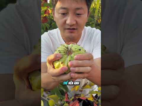 Quả Na Mềm Nhất Thế Giới Gây Kinh Ngạc #shorts thumbnail