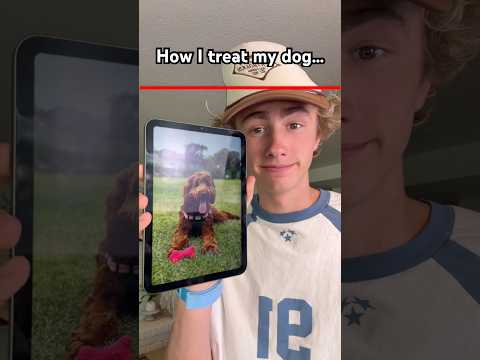 How I treat ￼my dog￼ ? thumbnail