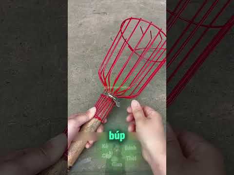 Cứ Tưởng Là Lồng Chim, Hóa Ra Lại Là... 🤯 thumbnail