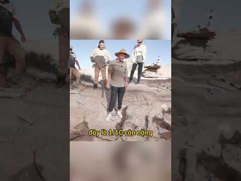 Nolan trả thù MrBeast vì đã chế giễu mẹ cậu ấy ? thumbnail