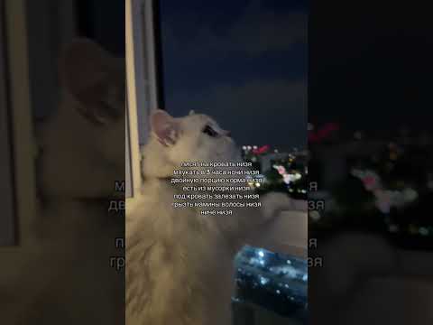 ВОТ ПОЧЕМУ ТАК? | TikTok: piksijwb0xx thumbnail