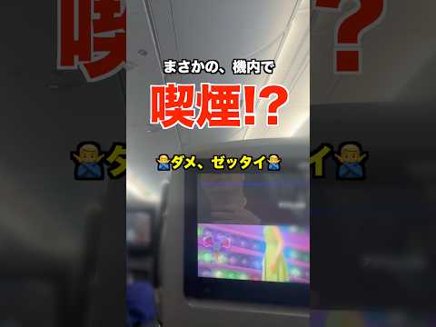 飛行機内で喫煙はダメ...絶対🚬❌#フライングホヌ #NH181 #ANA thumbnail