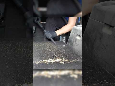 Vehicle Vacuuming ASMR! thumbnail