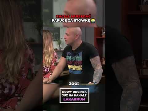 PAPUGA ZA STÓWKĘ 😭 thumbnail