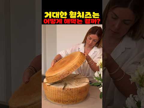 거대한 휠 치즈를 집에서 먹는 방법 thumbnail
