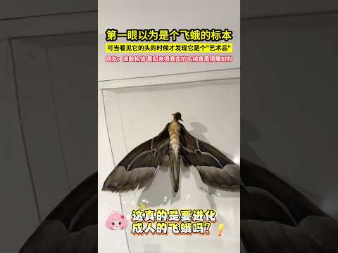 第一眼以為是個飛蛾的標本，可當看見它頭部的時候才發現它是個"藝術品"，網友：誰敢相信，看起來很真實的毛絨竟是銅雕刻的！#shorts thumbnail